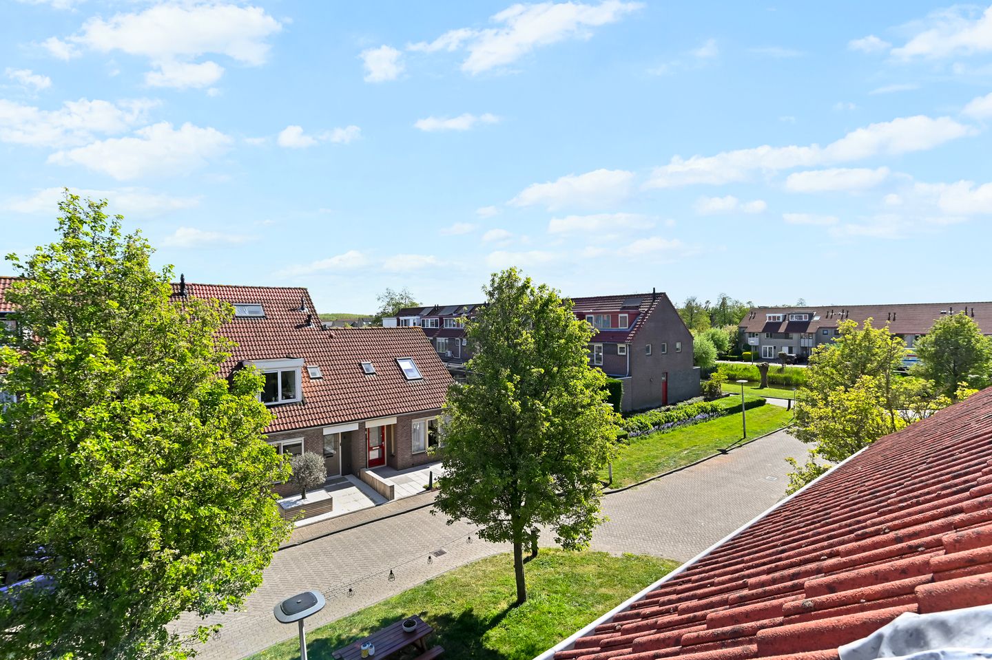 Photo 29 of Ereprijs 3