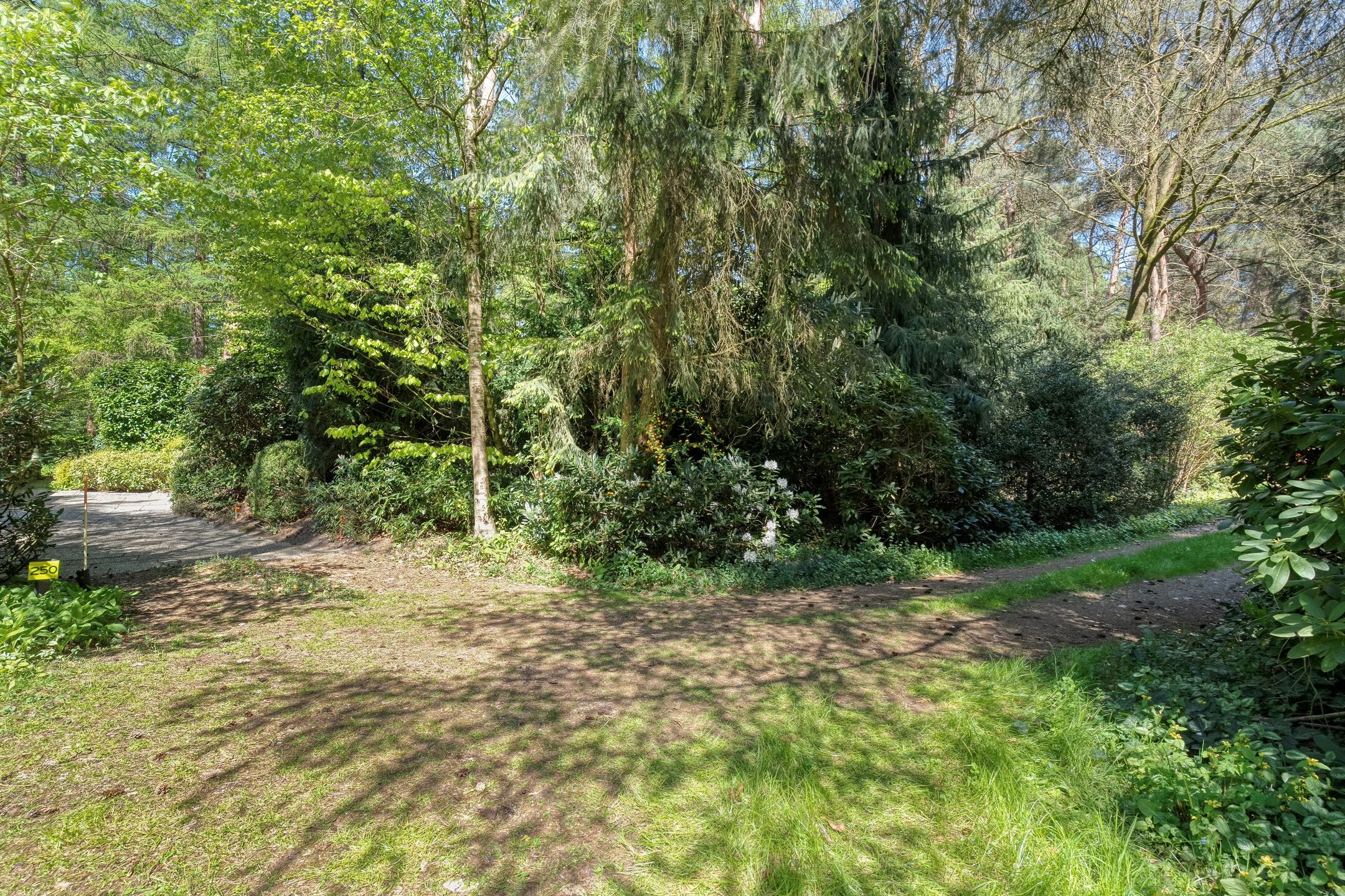 Foto 6 van Hogeveldsweg 26-250