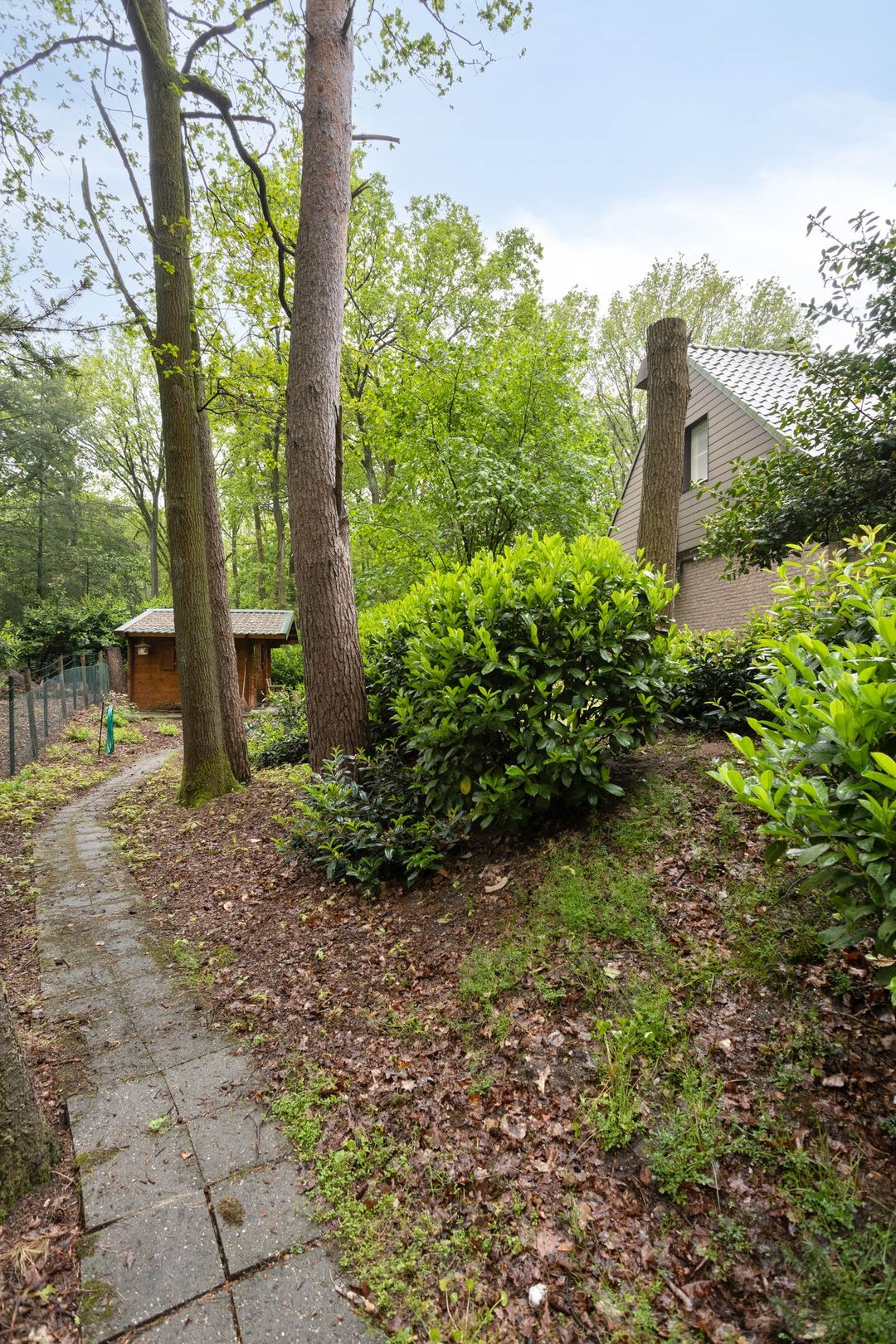 Foto 46 van Wolfsven 11