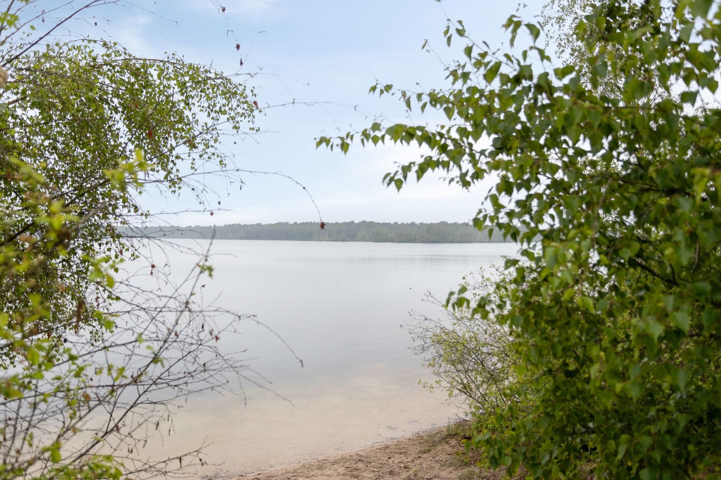 Foto 49 van Wolfsven 11