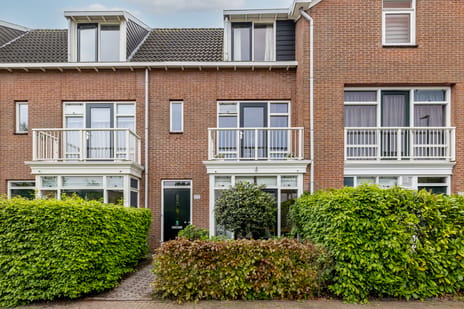 Piet van de Polsingel thumbnail