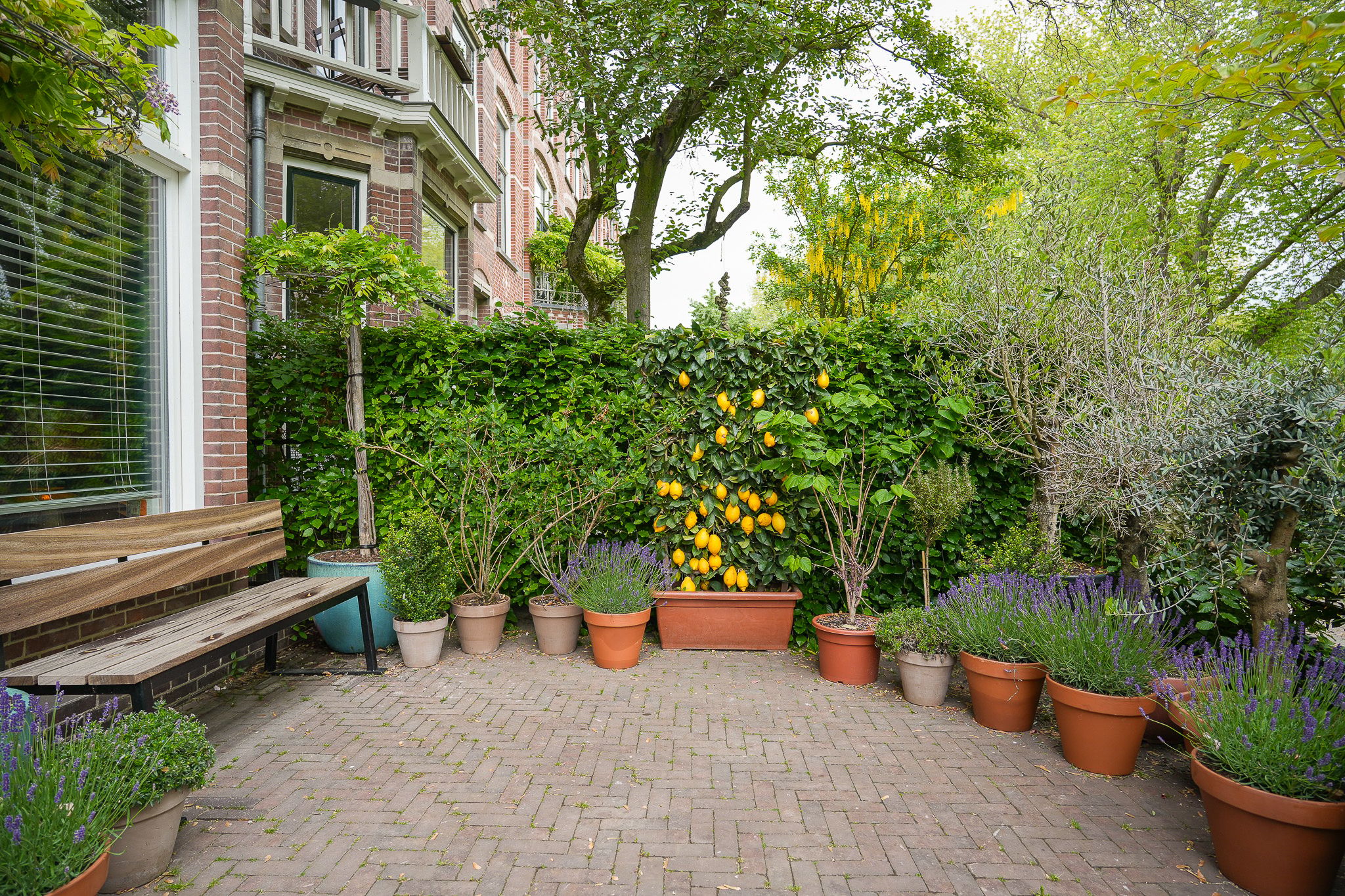 Foto 42 van van der Does de Willeboissingel 39