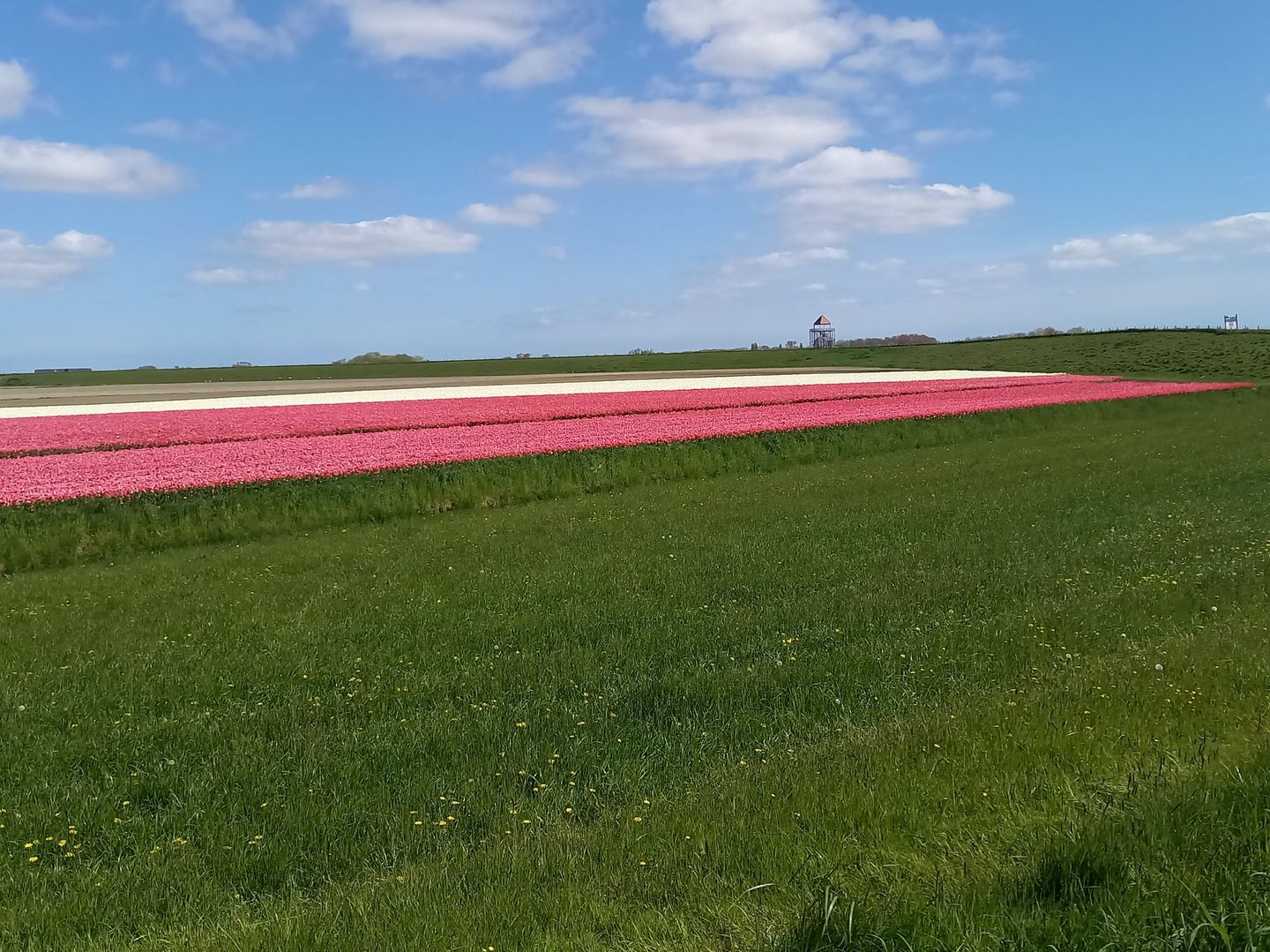 Foto 50 van Grote Sloot 77