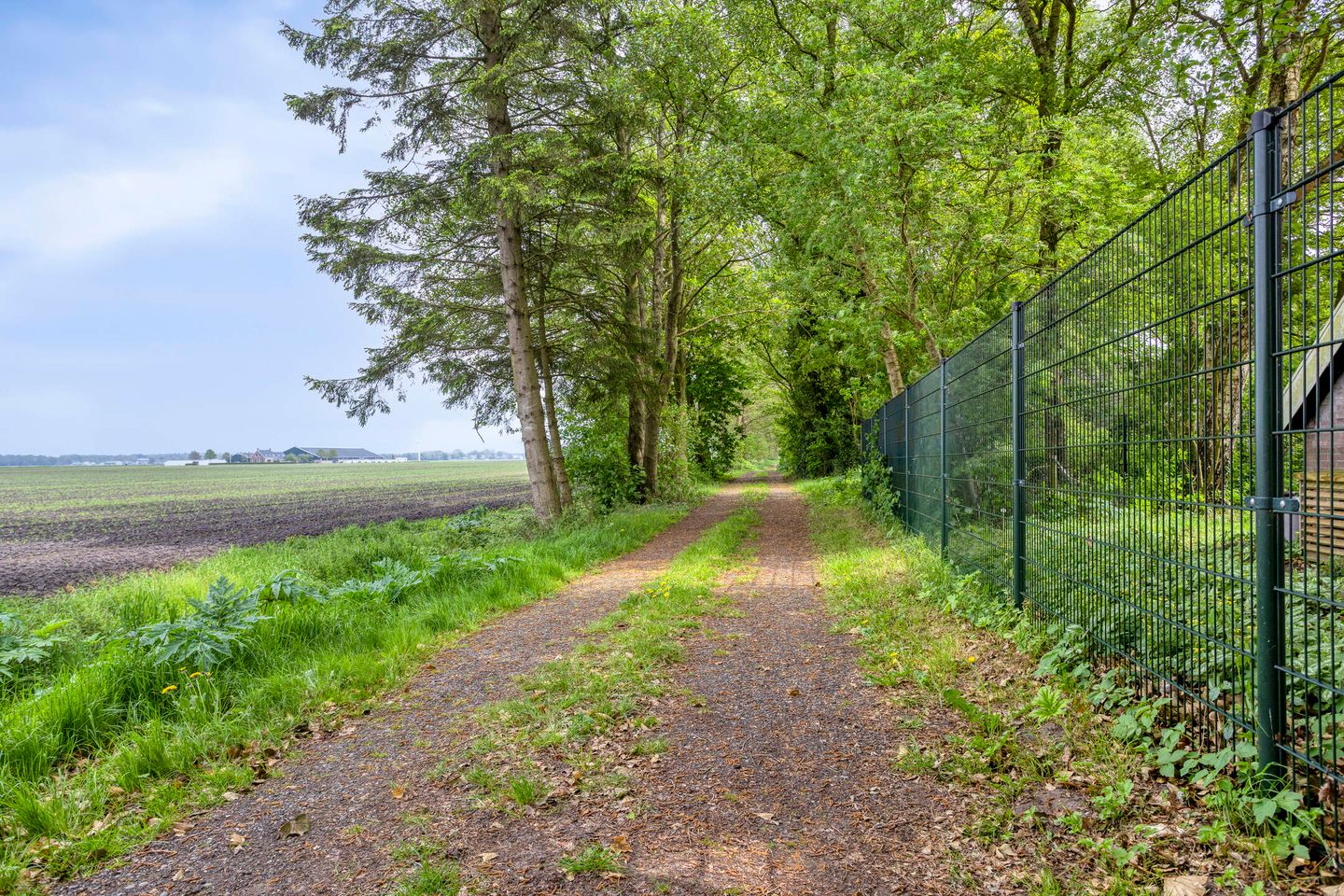 Foto 40 van Nieuwe Wijkje 7