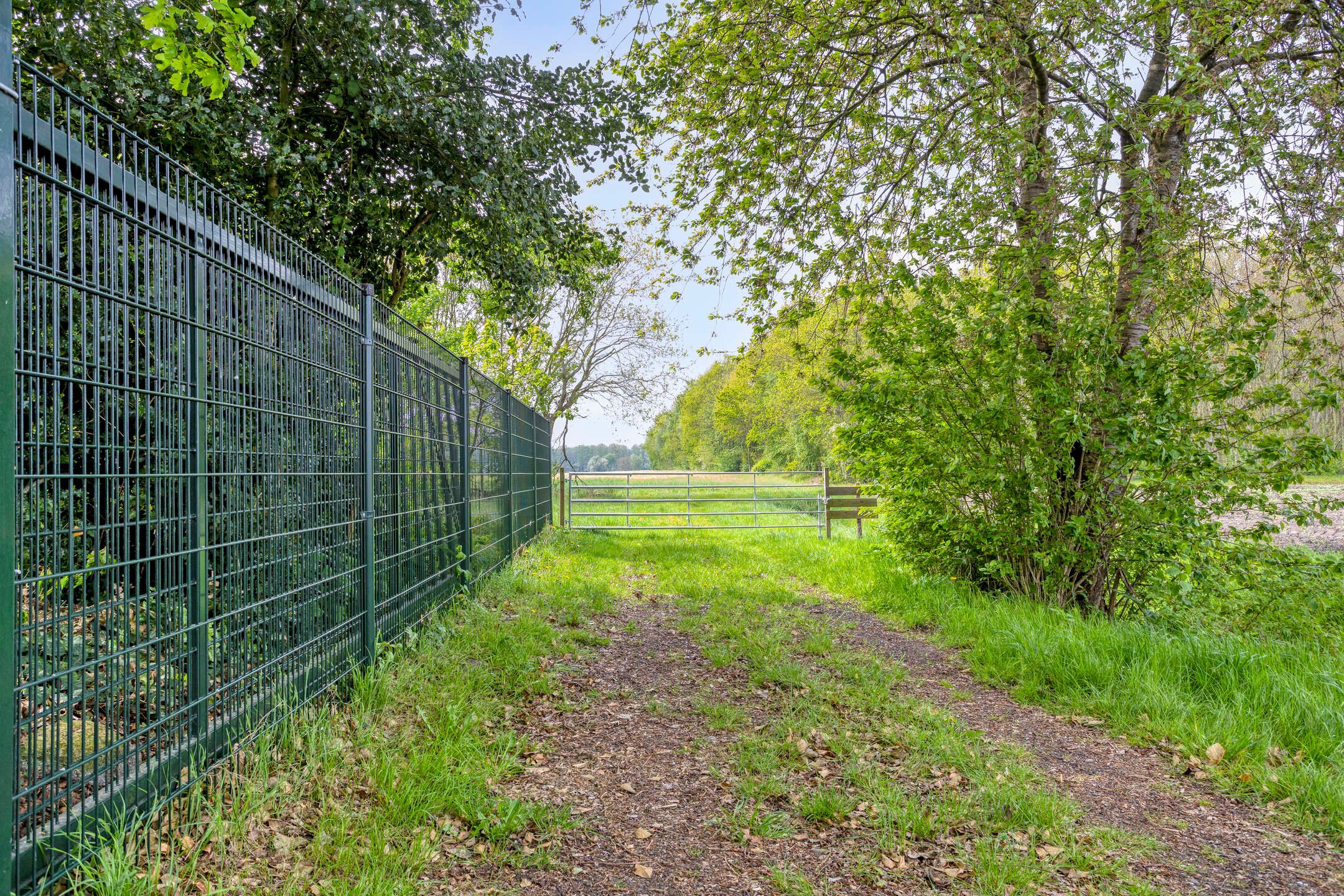 Foto 42 van Nieuwe Wijkje 7