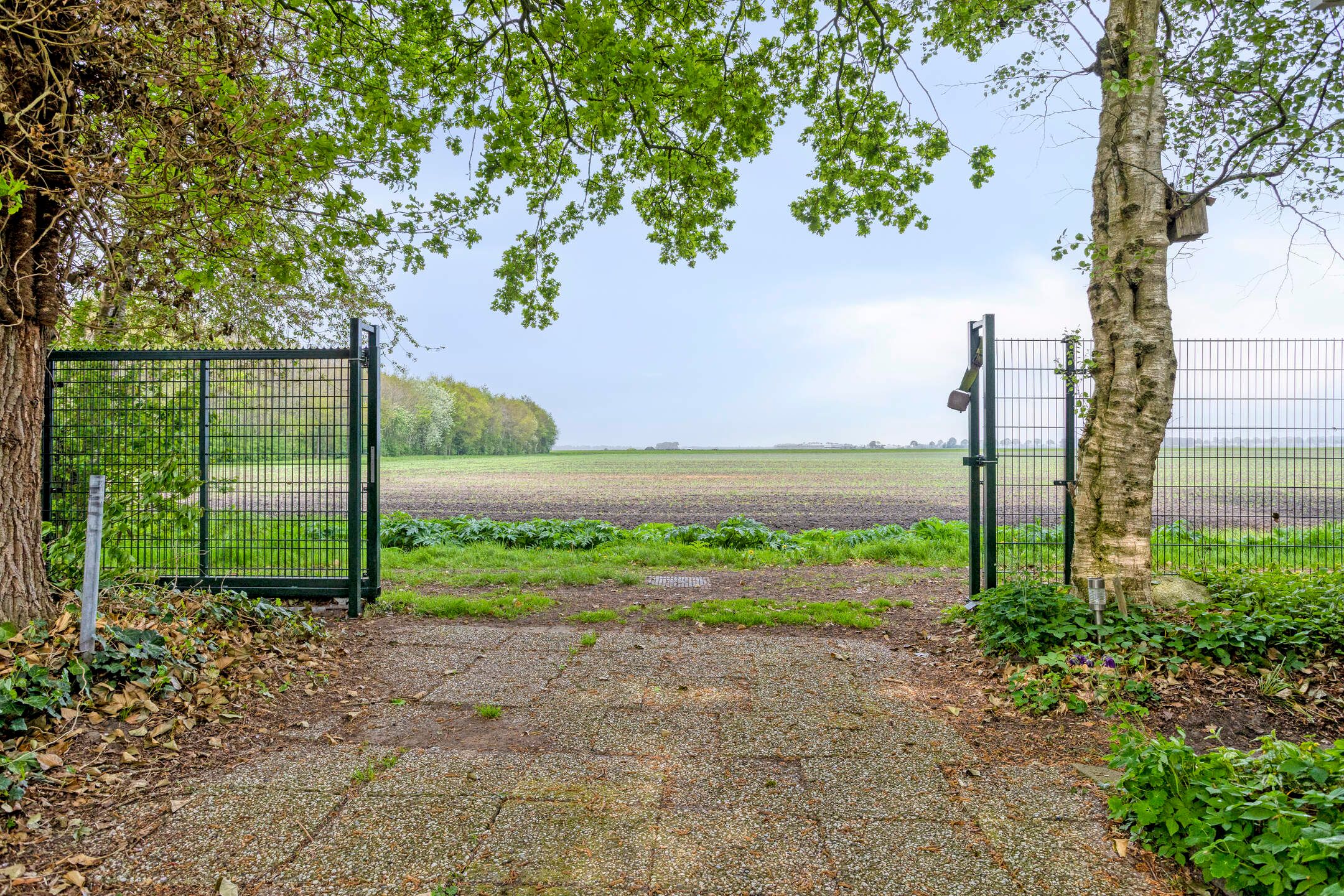 Foto 54 van Nieuwe Wijkje 7
