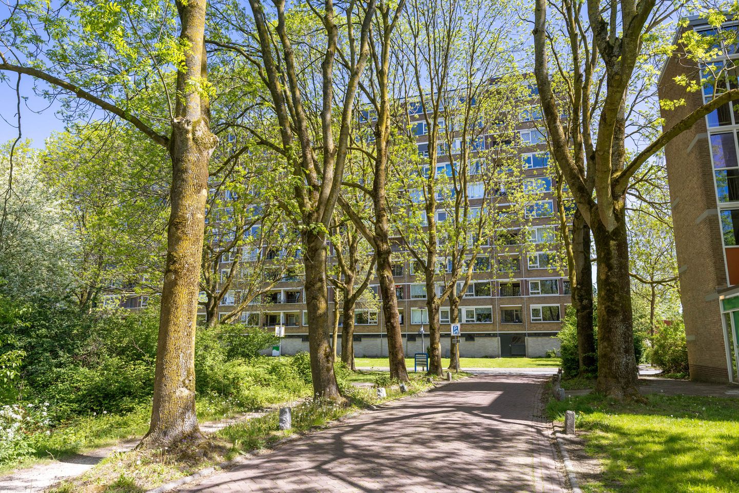 Photo 35 of Donderslaan 76