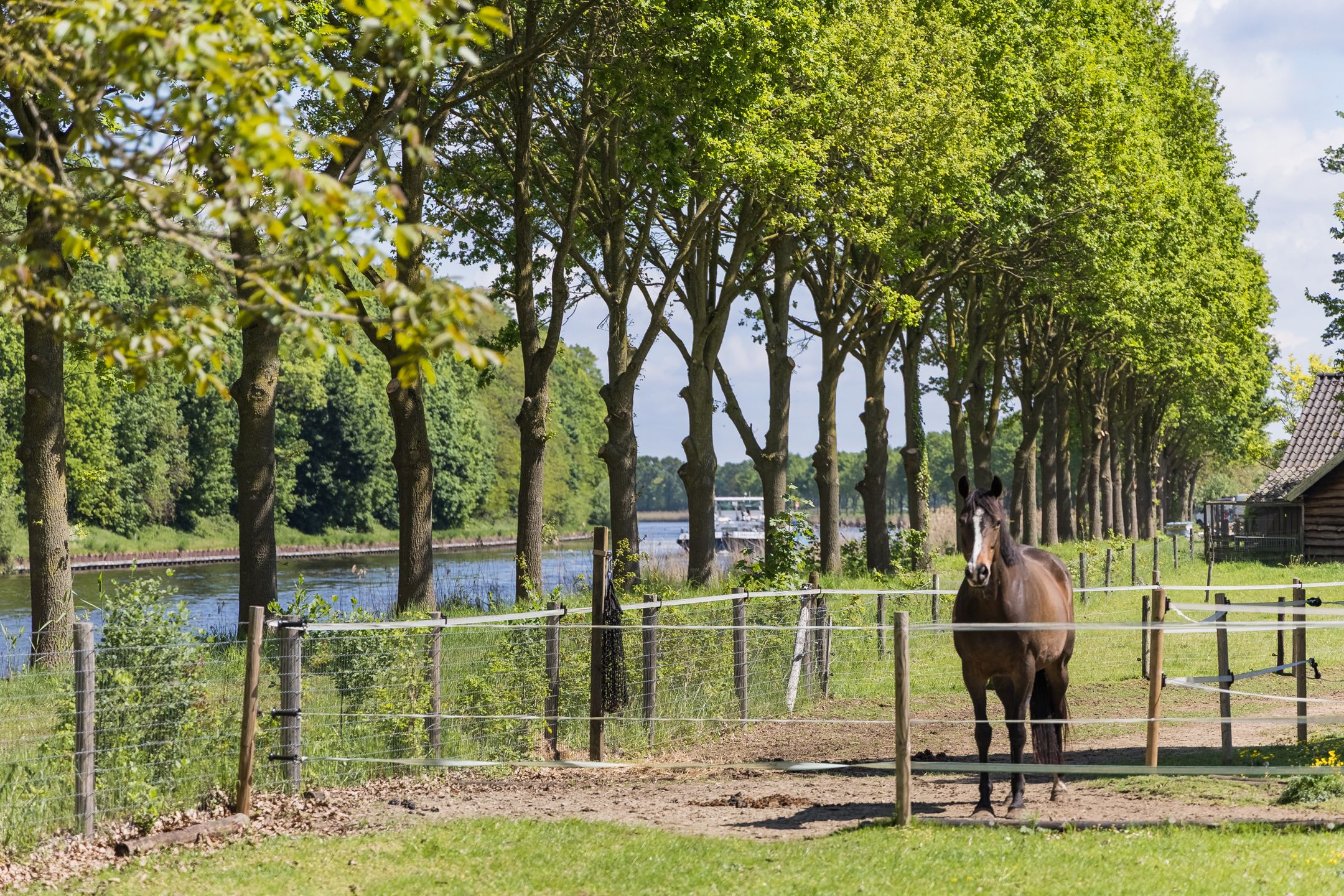 Photo 87 of Goorseweg 19