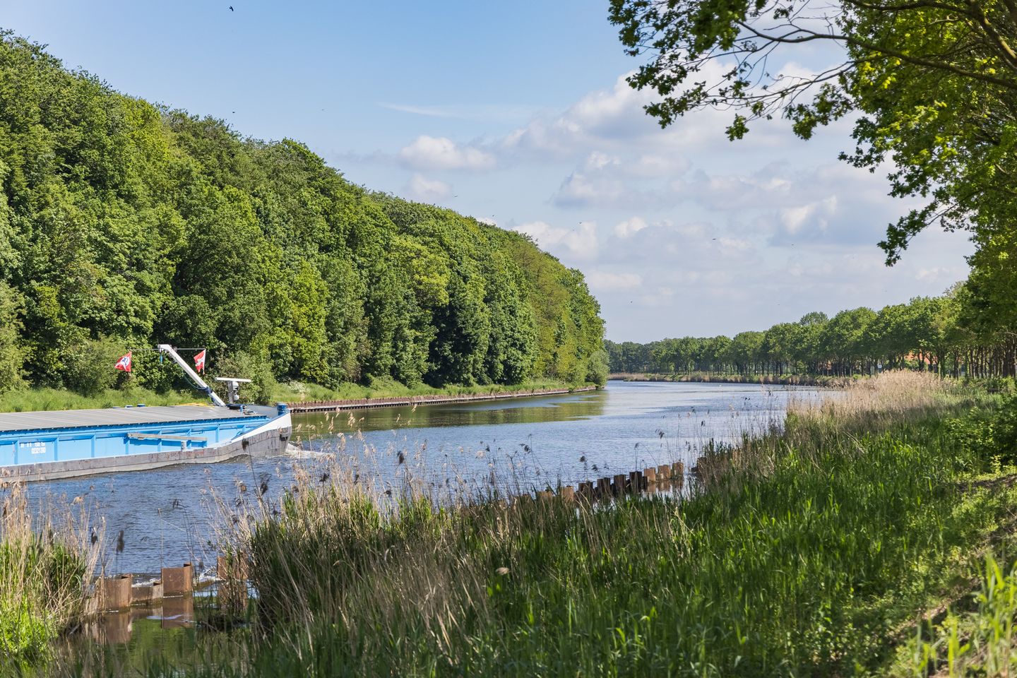 Photo 89 of Goorseweg 19