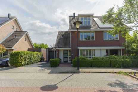 Sparrenhout thumbnail