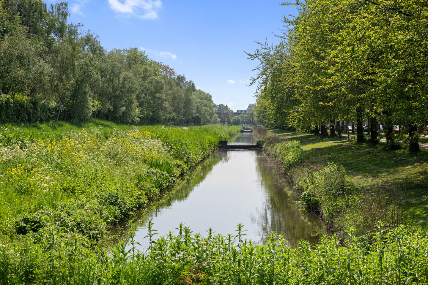 Foto 34 van A. Noordewier-Reddingiuslaan 97