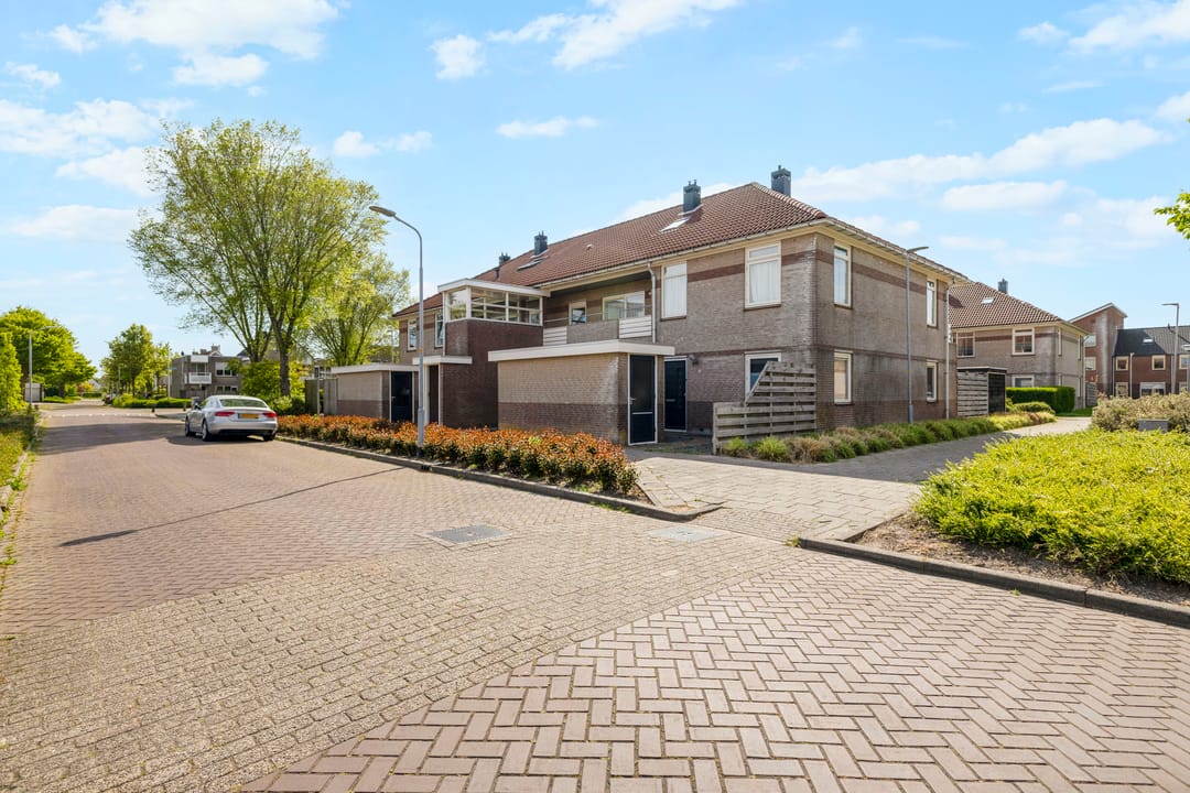 Foto 1 van Moerasandoorn 9