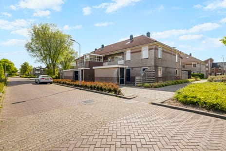 Moerasandoorn thumbnail