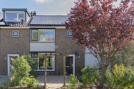 Kraaijenbergstraat thumbnail