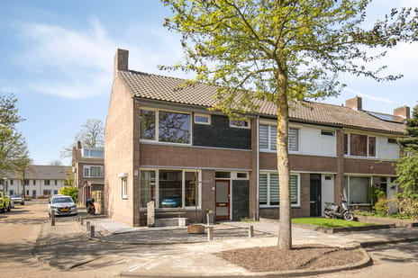 van Norenburchstraat thumbnail
