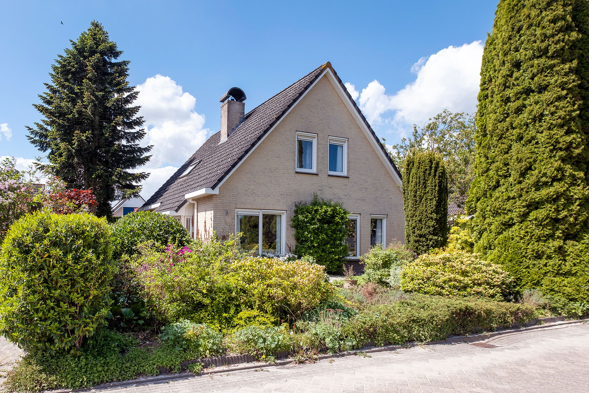 Alkmesschen 5 