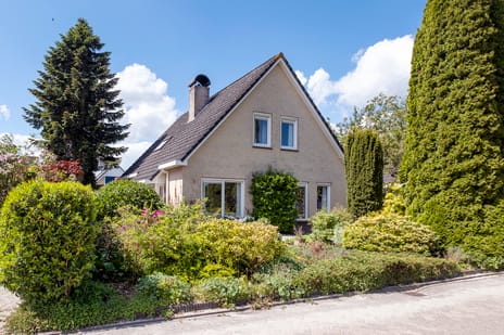 Alkmesschen thumbnail