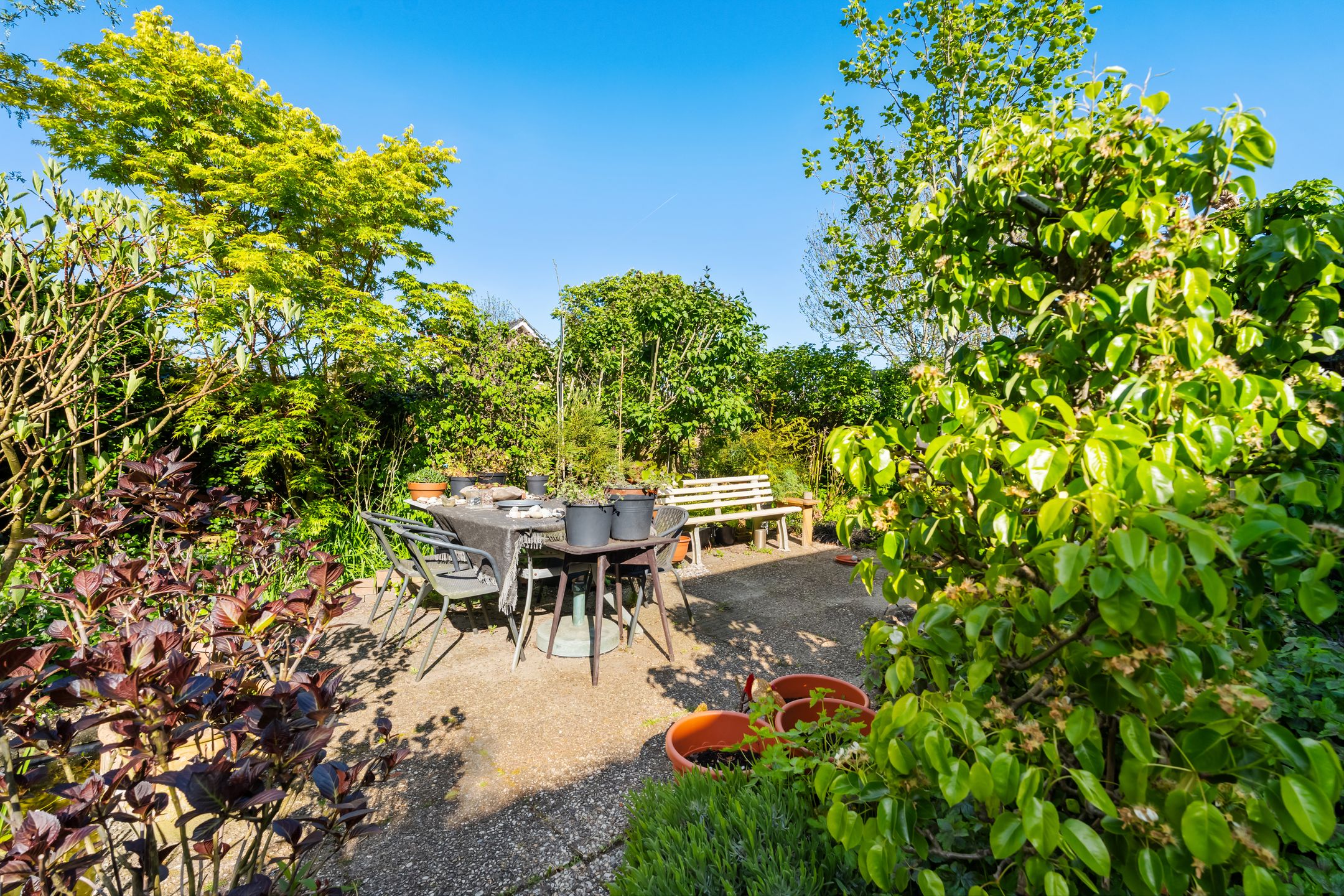 Foto 15 van Oud Adeselaan 3