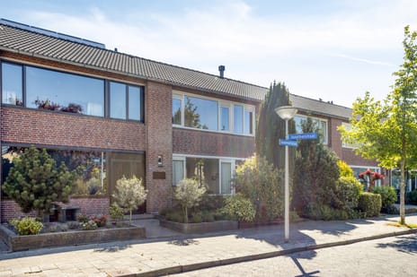 Goudrenetstraat thumbnail