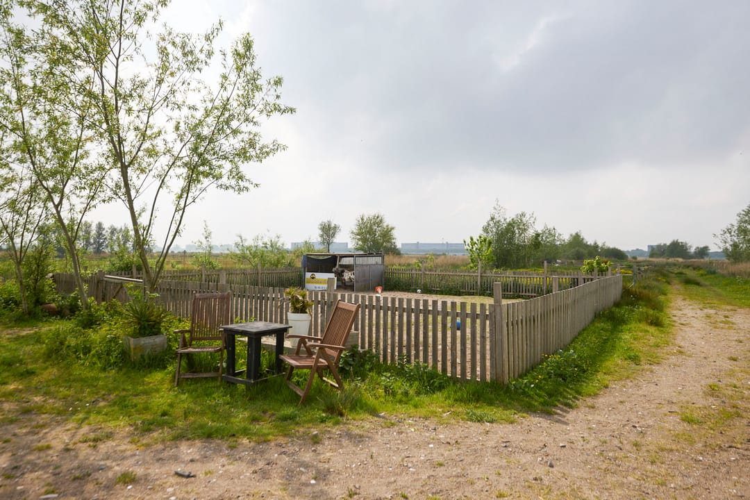 Photo 92 of De Heul 13