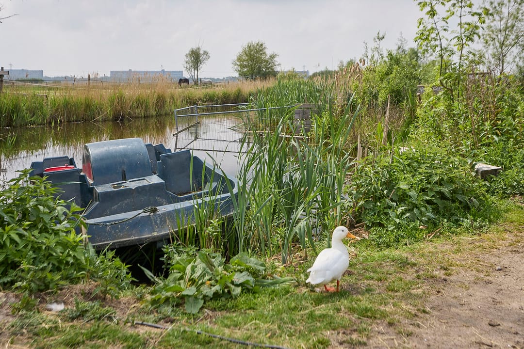 Photo 88 of De Heul 13