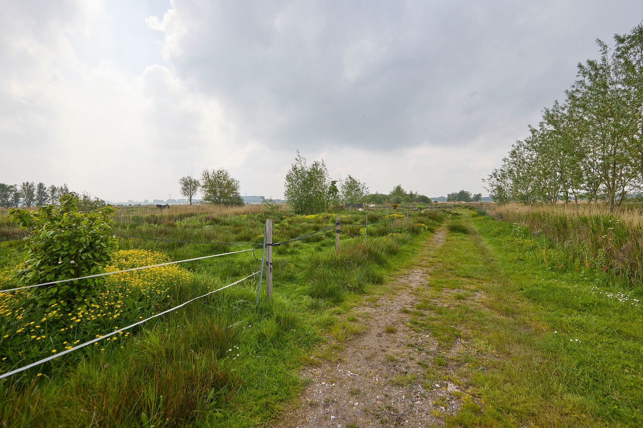 Photo 93 of De Heul 13