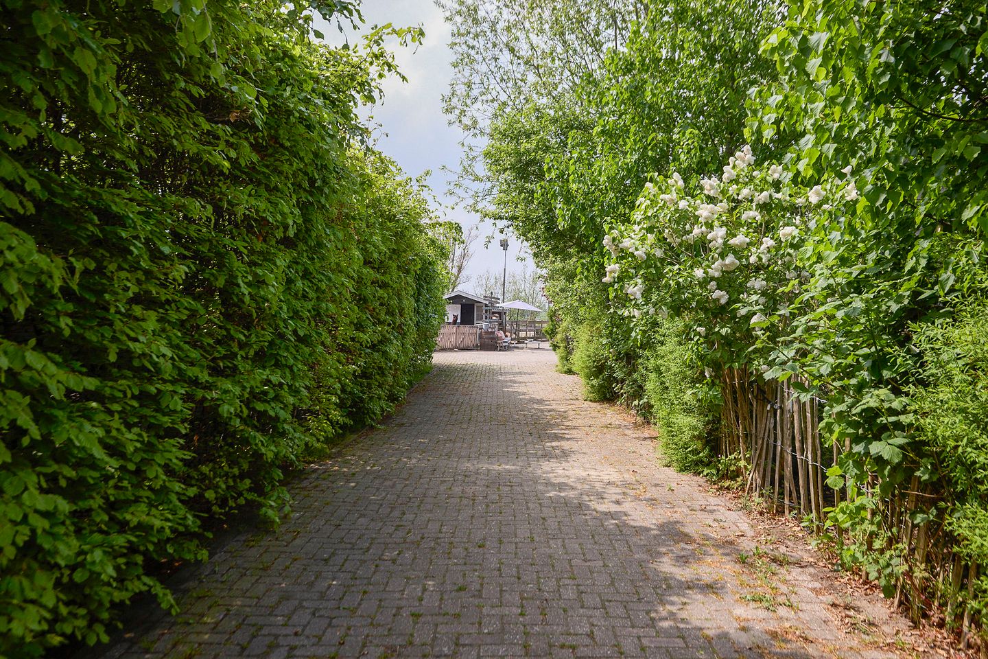 Photo 55 of De Heul 13