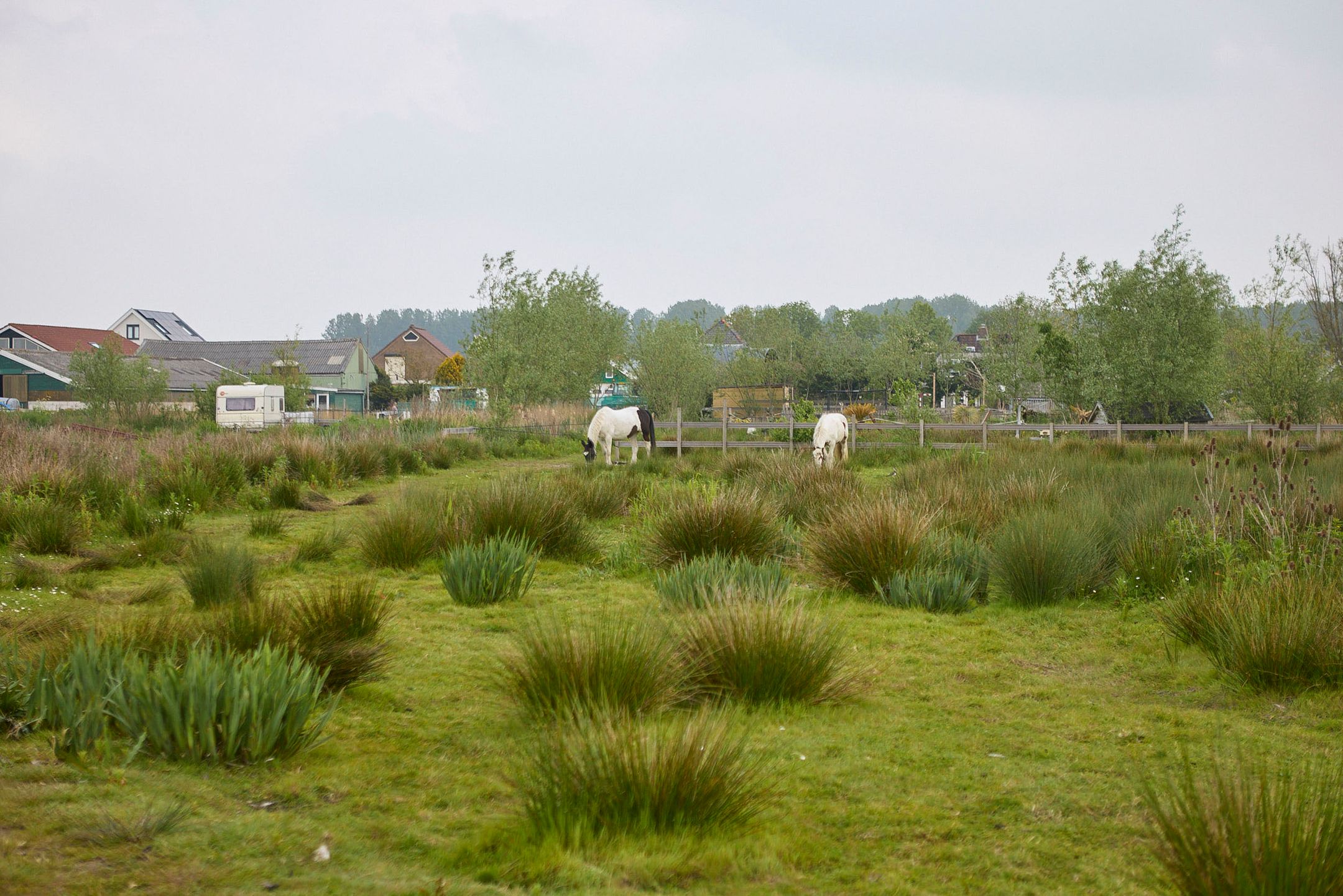 Photo 99 of De Heul 13