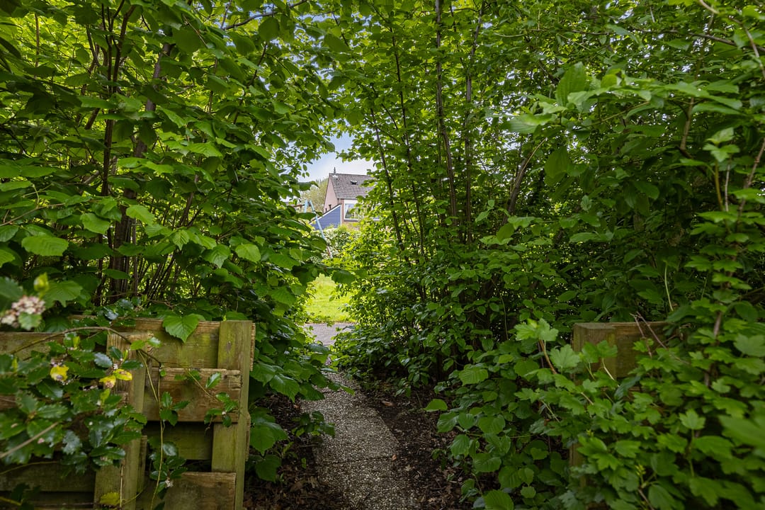 Photo 46 of Zicht 21