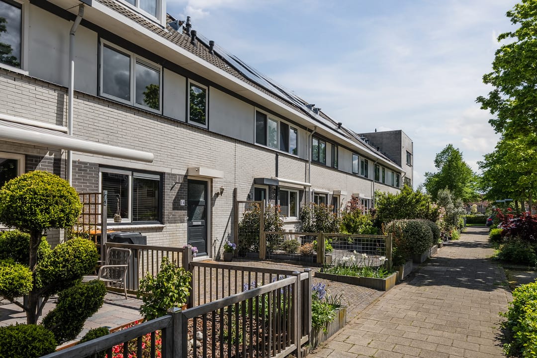 Foto 46 van Gele Varaan 14