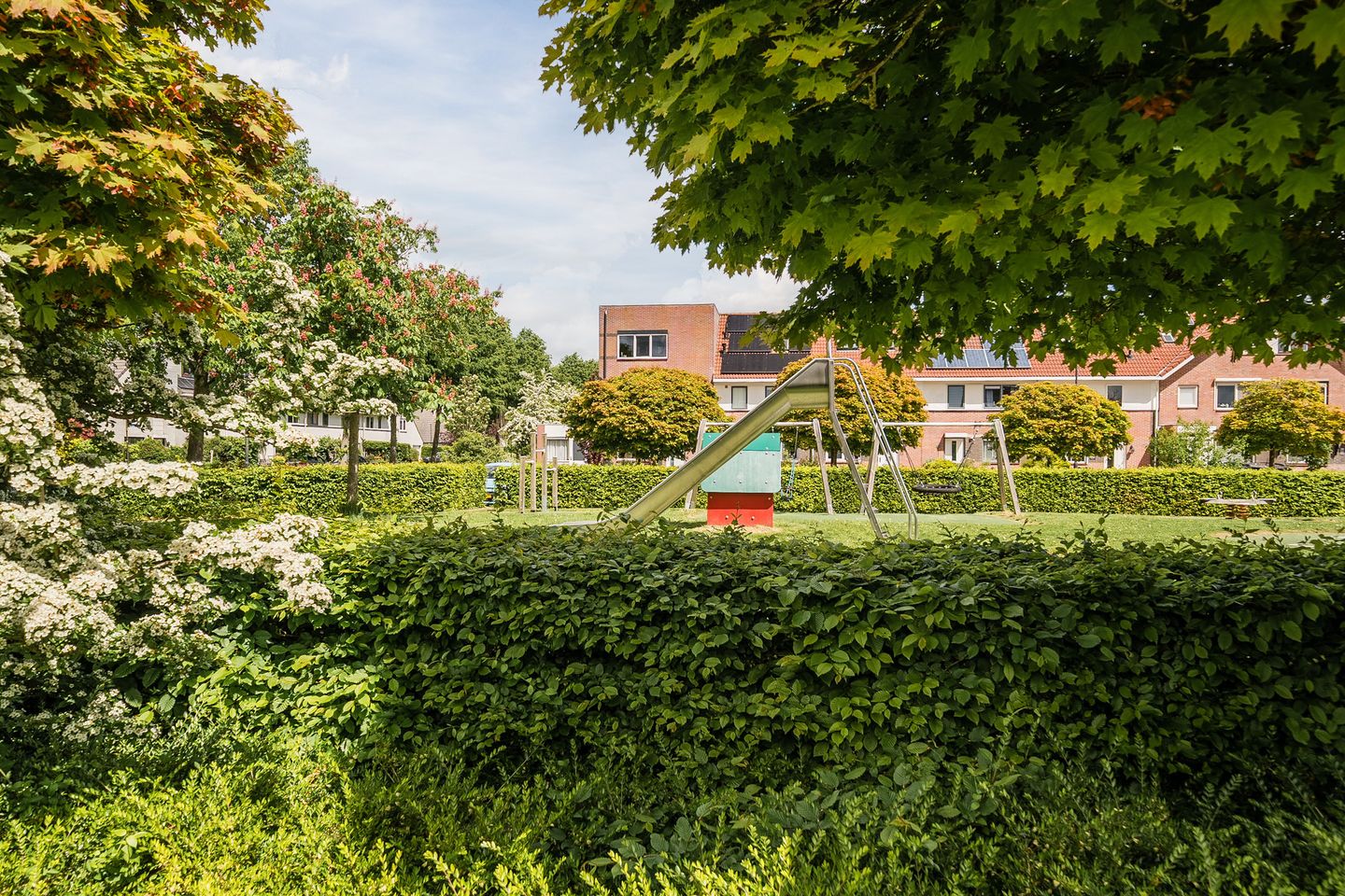 Foto 40 van Gele Varaan 14
