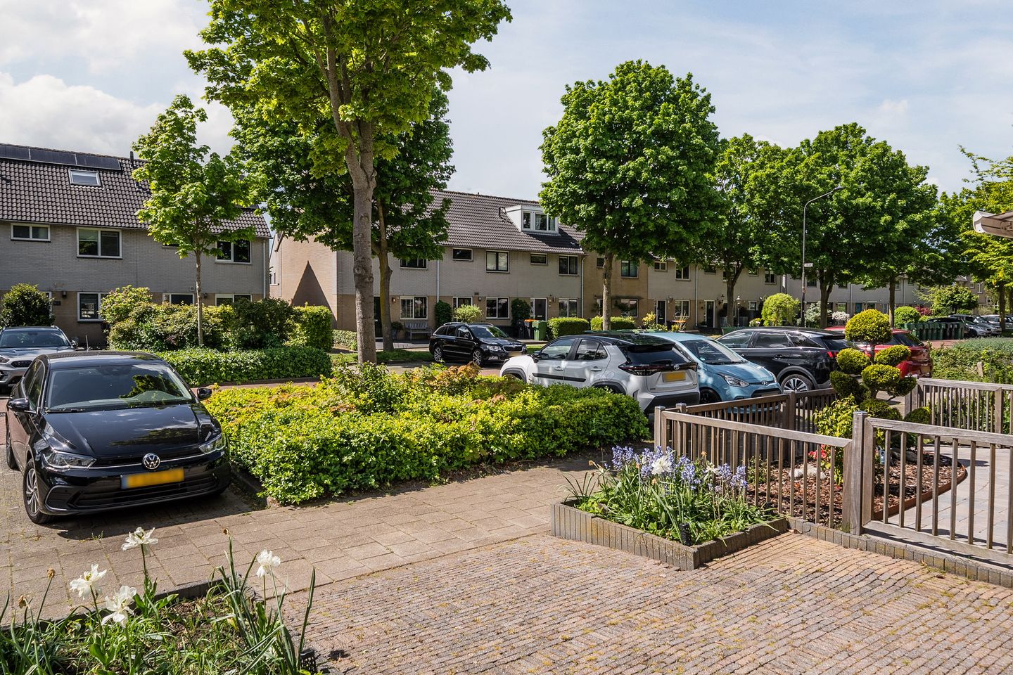 Foto 44 van Gele Varaan 14