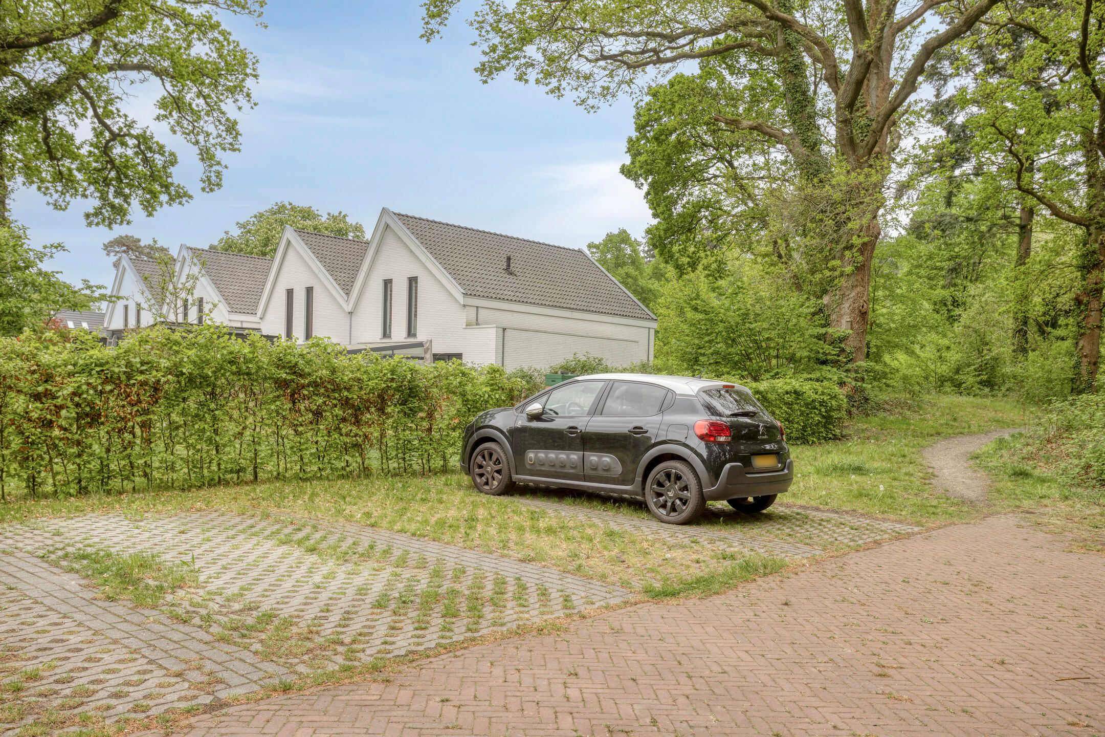 Photo 39 of Veldekster 53