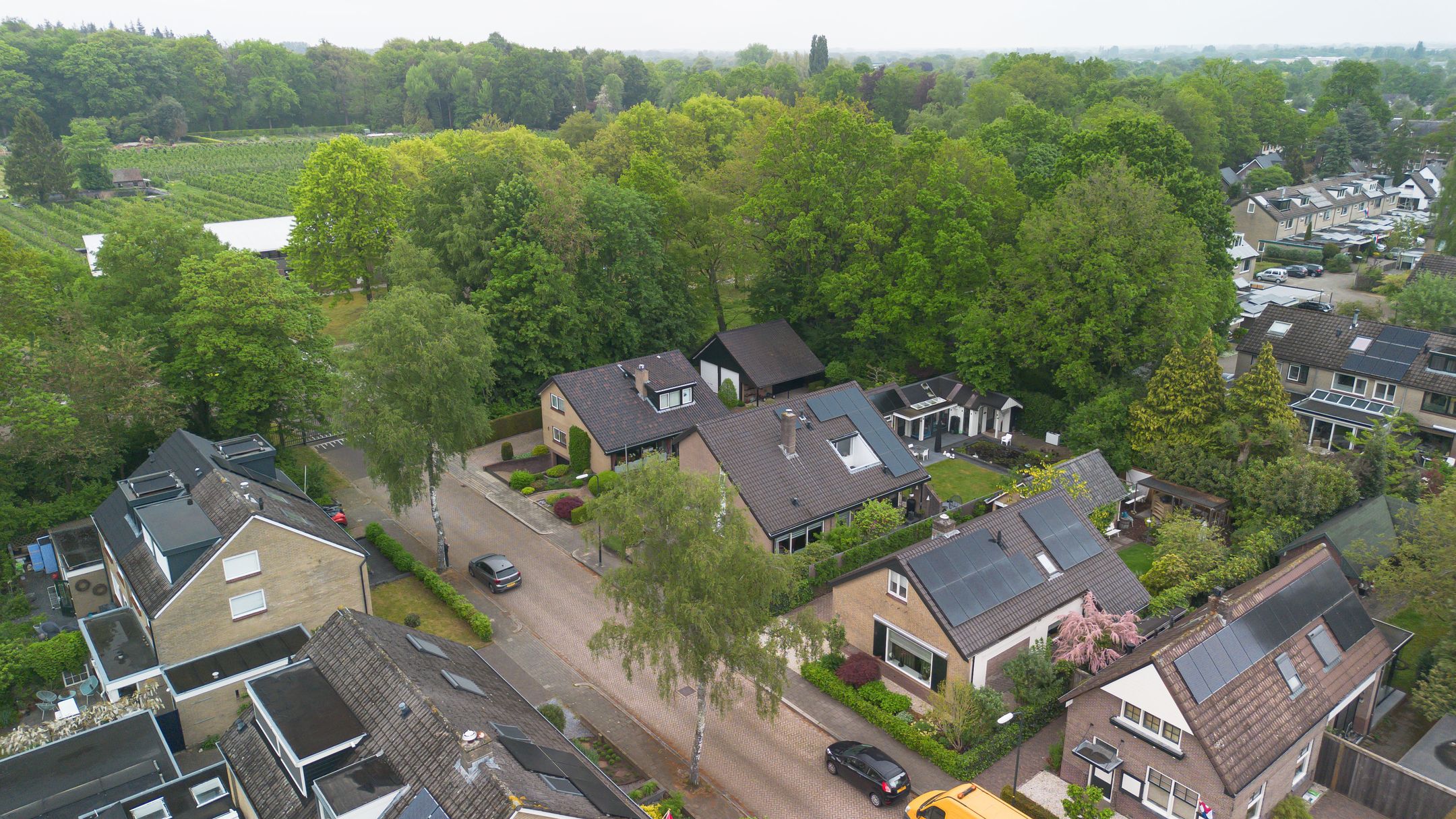 Photo 39 of Waldeck-Pyrmontstraat 22