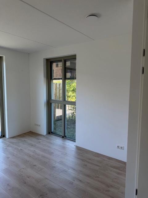 Photo 7 of Zilver 117