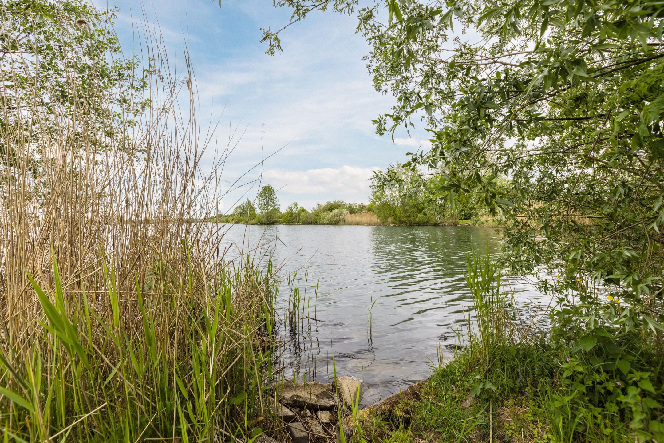 Photo 54 of Ruimtevaartbaan 13