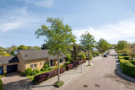 Hammarskjöldlaan thumbnail