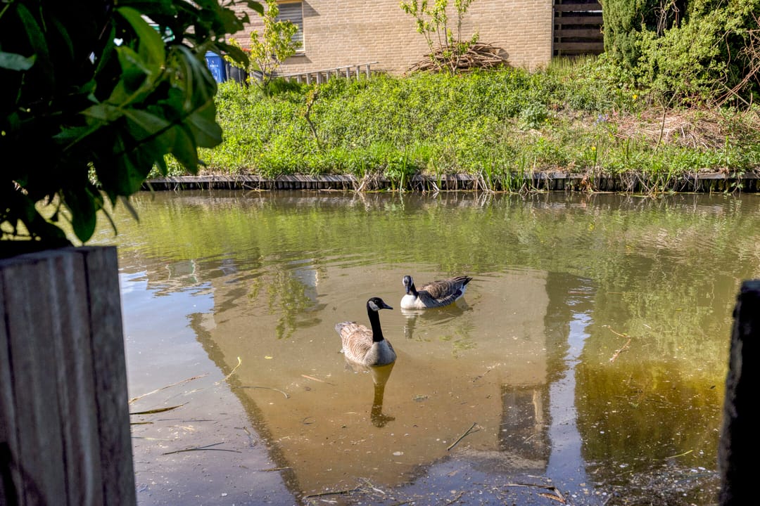Photo 37 of Houtingkolk 15