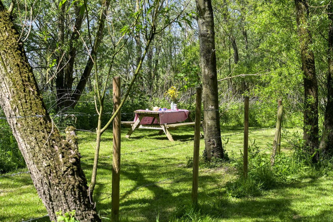 Photo 56 of Waaldijk 46