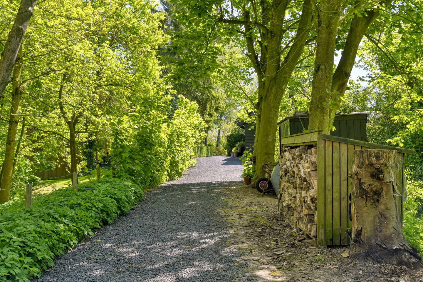 Photo 59 of Waaldijk 46