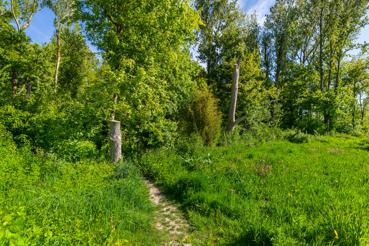 Foto 4 van Het Roege Bos 5