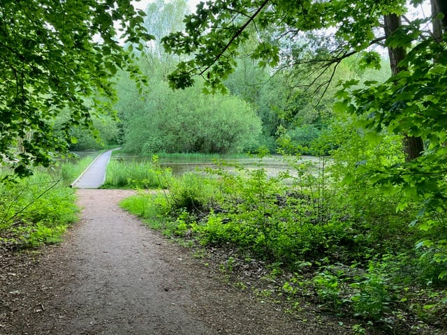 Foto 55 van Het Roege Bos 5