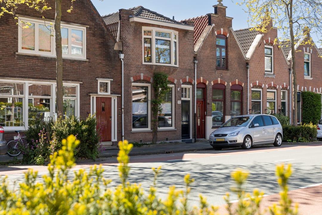 Foto 43 van Reeweg Oost 101