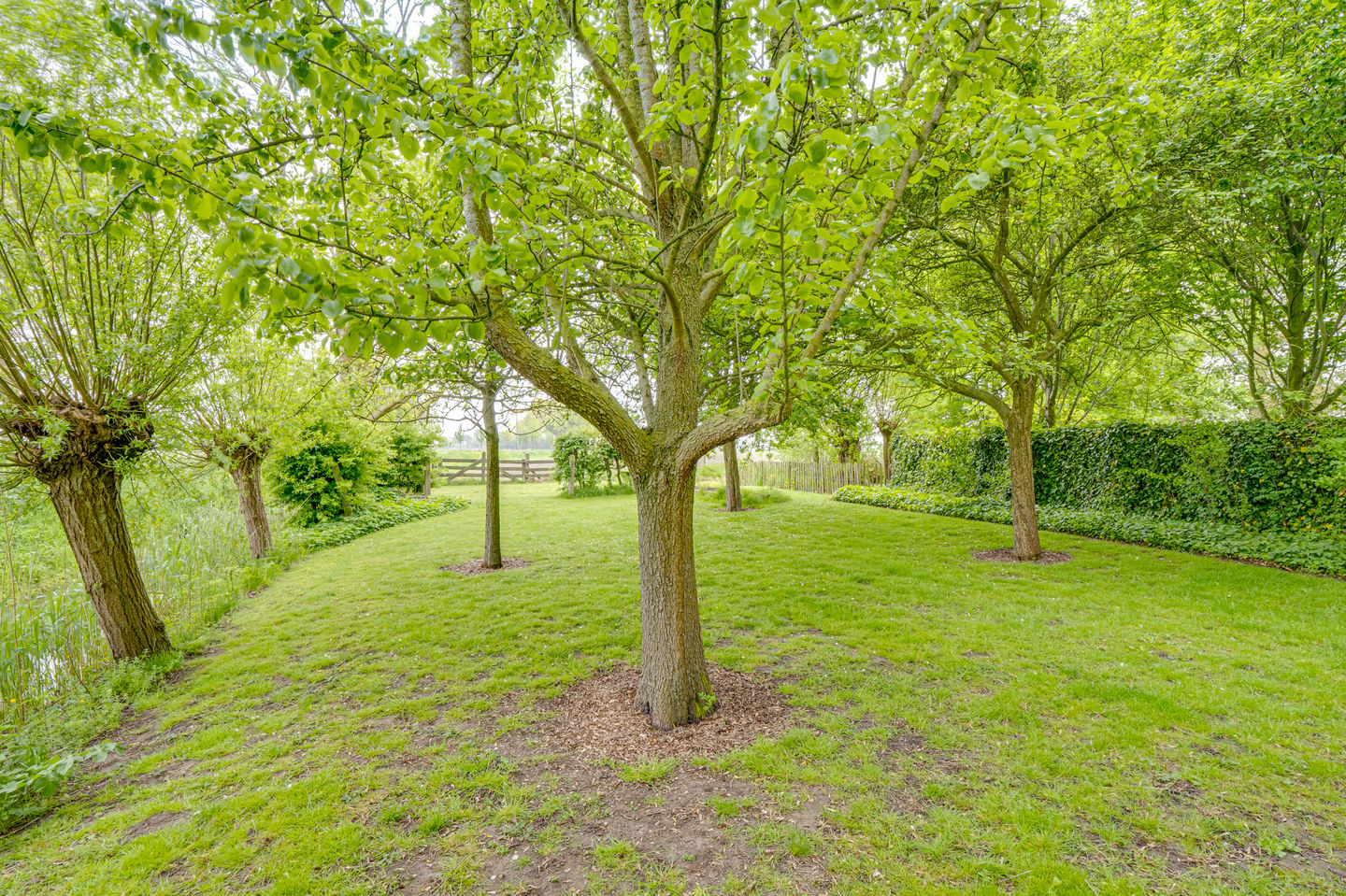 Photo 65 of Ringvaartweg 32