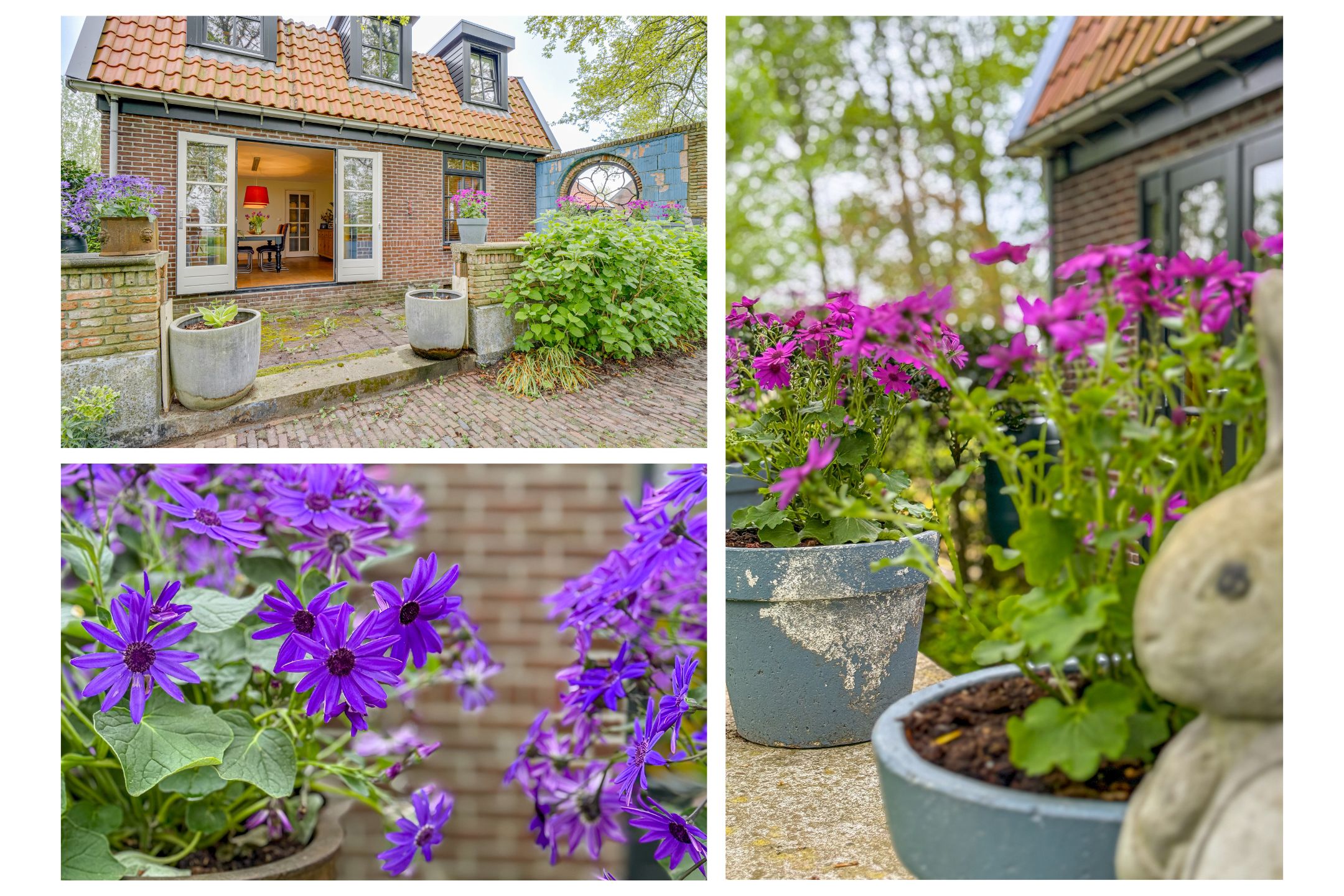 Photo 60 of Ringvaartweg 32