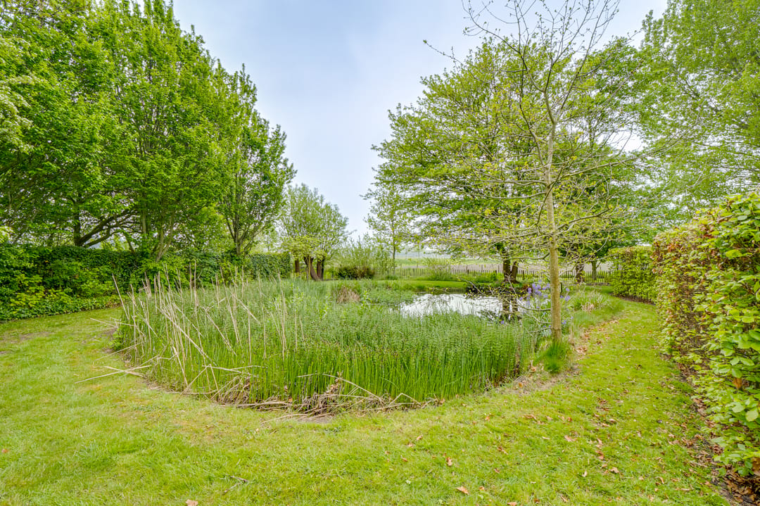 Photo 56 of Ringvaartweg 32