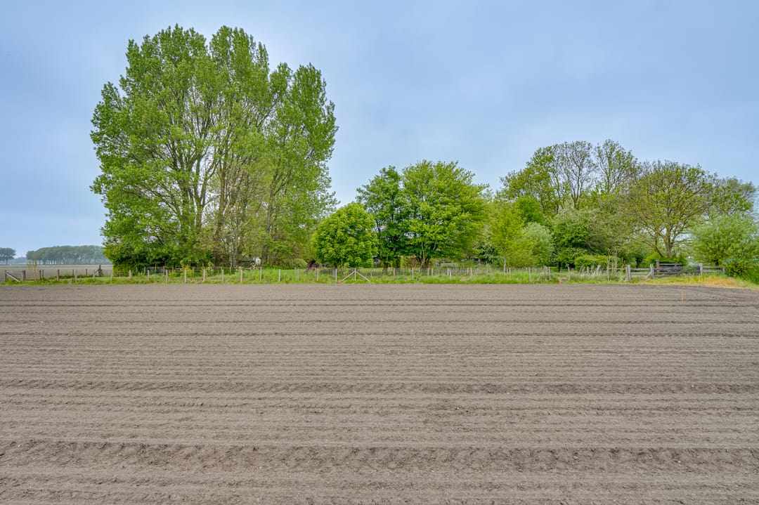 Photo 68 of Ringvaartweg 32