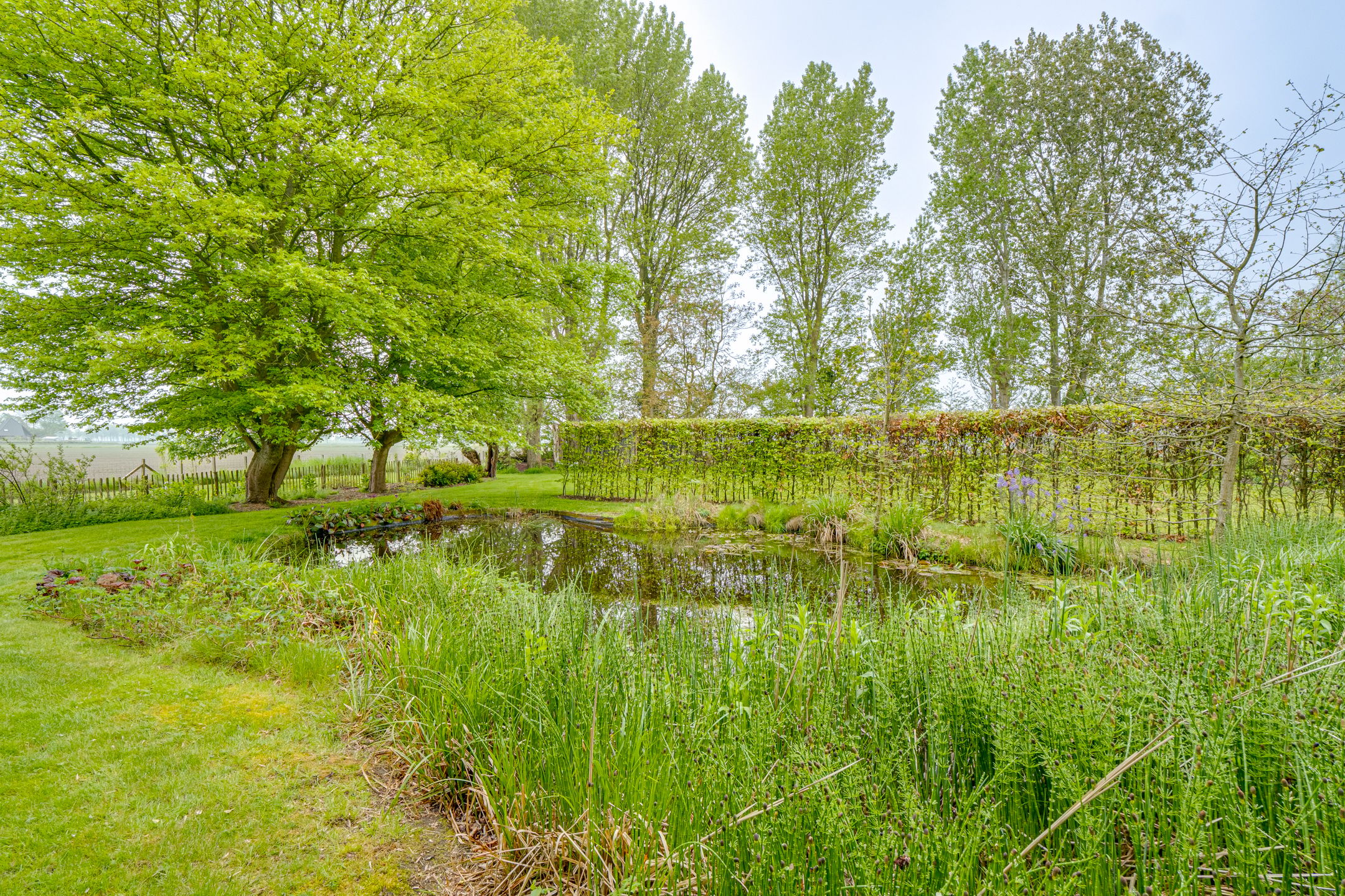 Photo 57 of Ringvaartweg 32