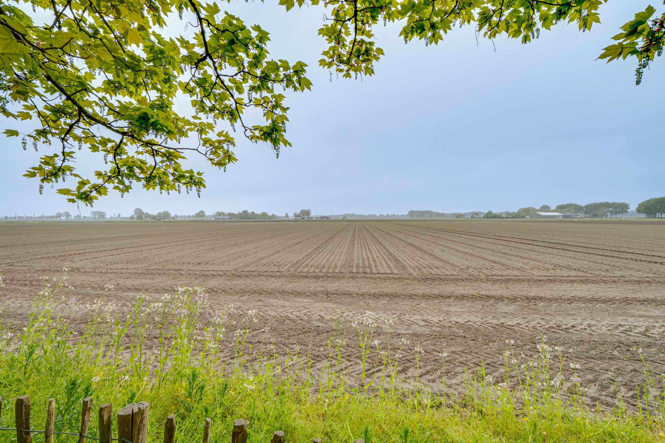 Photo 63 of Ringvaartweg 32