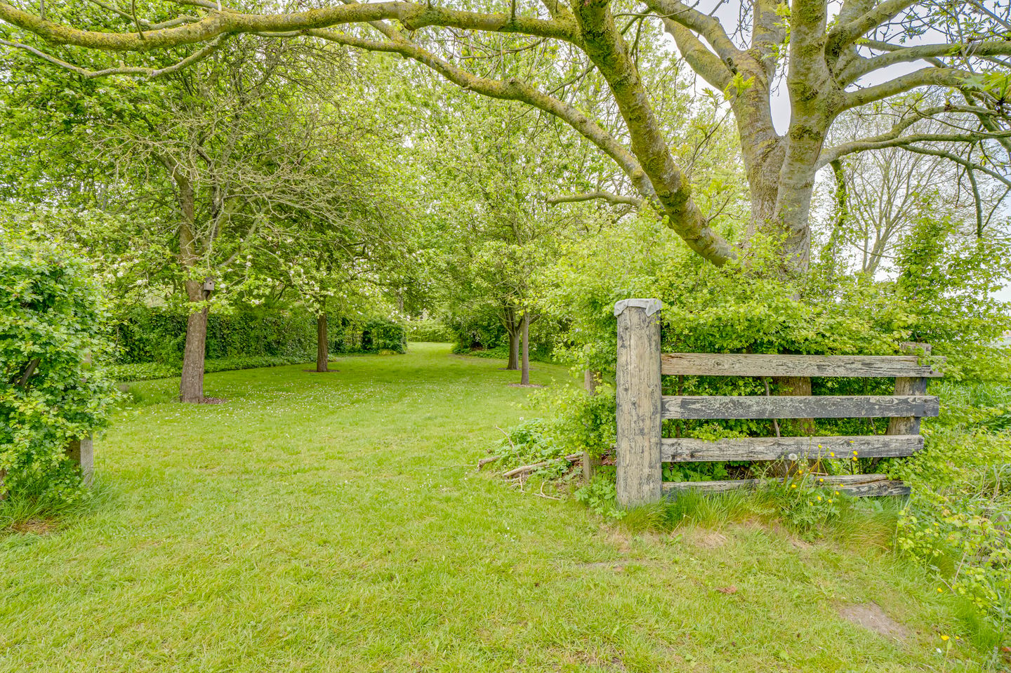 Photo 64 of Ringvaartweg 32